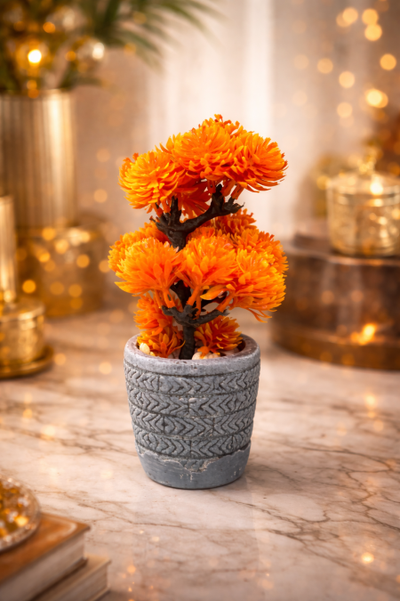 نبتة الديكور البرتقالية المميزة 🧡