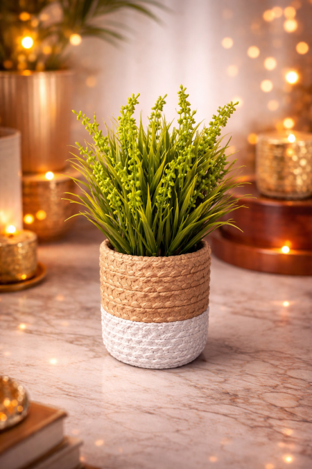 نبتة ديكور جميلة بتصميم بسيط وطبيعي 🌿