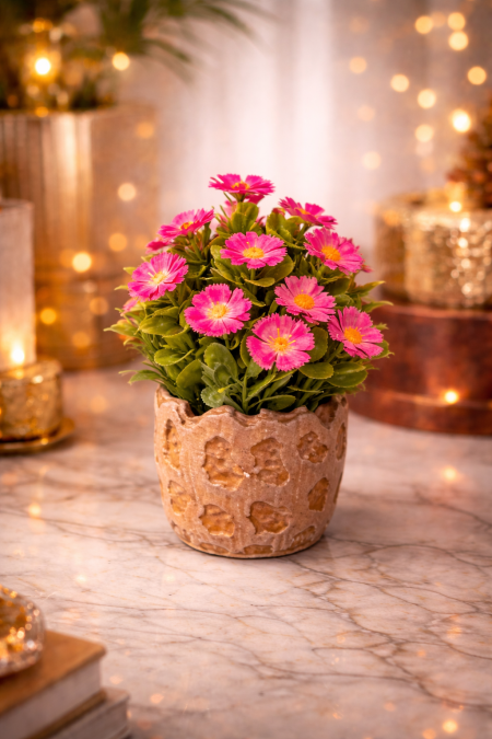 نبتة ديكور بزهور وردية جميلة 🩷