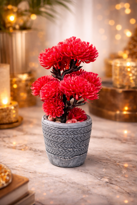 نبتة ديكور بزهور حمراء مميزة بتصميم يشبه شجرة البونساي❤️