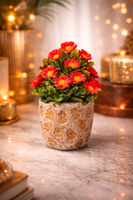 نبتة ديكور بزهور حمراء مشرقة❤️