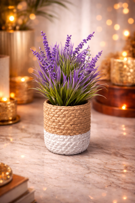 نبتة ديكور بزهور بنفسجية جميلة 💜